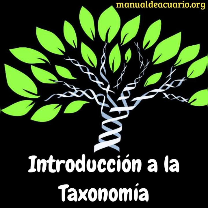 Introducción a la taxonomía de manual de acuario