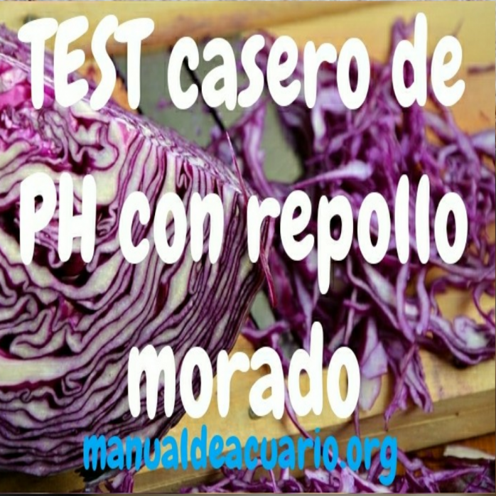 Test casero de ph con Repollo morado