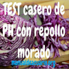 test casero de repollo morado