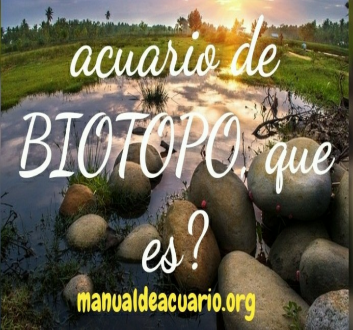 Acuario de Biotopo , que es