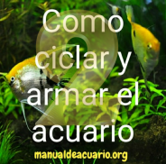 Ciclar y armar acuario 2