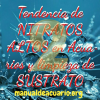 Nitratos altos en acuarios 2