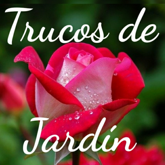 Trucos de Jardín