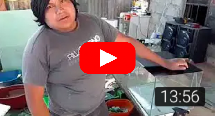 Como poner vinilo 2 video