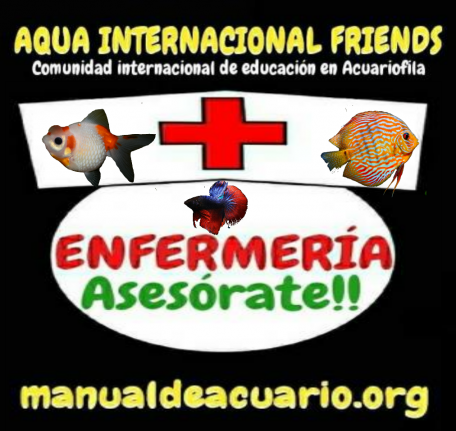 Enfermería en acuarios de AQUA INTERNACIONAL FRIENDS