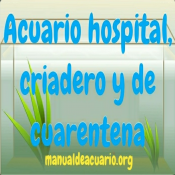 Acuario hospital, criadero y de cuarentena