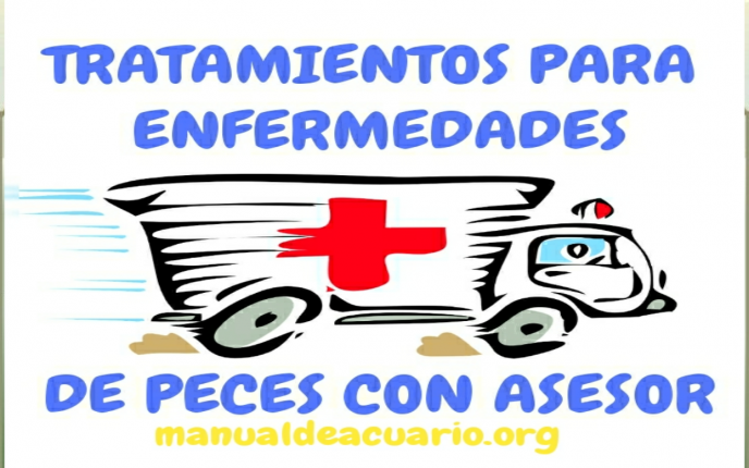 Tratamiento para enfermedades de peces con asesor