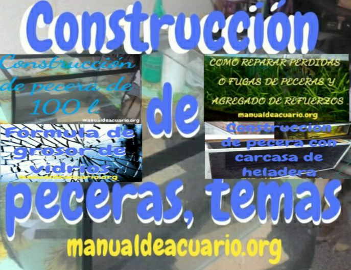 Temas de construcción de irurna para acuario