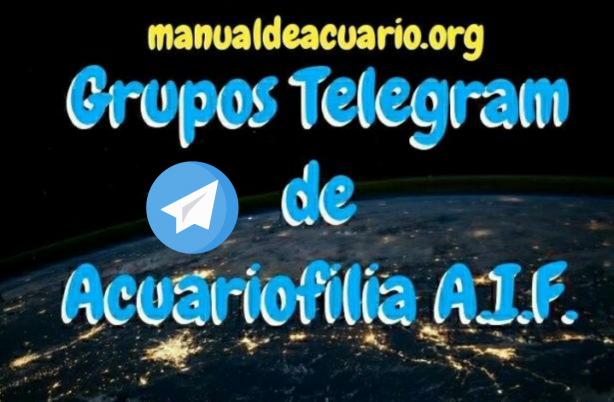 Grupos Telegram de acuariofilia de la comunidad Aqua Internacional Friends