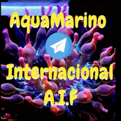 Grupo agua marino en telegram