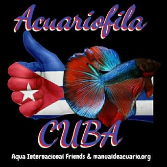 Grupo Whatsapp Acuariofilia Cuba