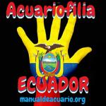 Acuariofilia ecuador 20190710 192919