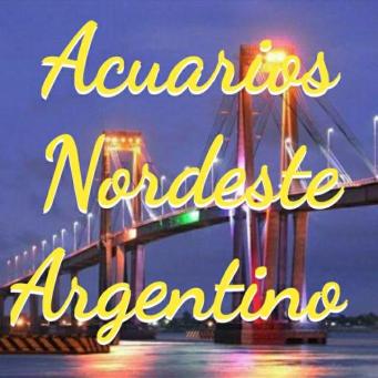 Acuarios nordeste argentino