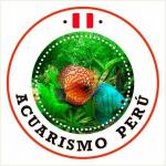 Acuarismo peru 20190614 223919