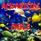 Acuaristas Chile