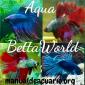 Aqua betta world
