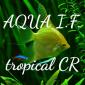 Aqua i f tropical cr 20200601 043802