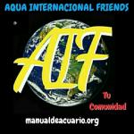 Aqua international friend 20190408 012406