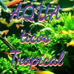 Aqua tropicales 20190706 1645