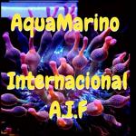 Aquamarino internacional a i f