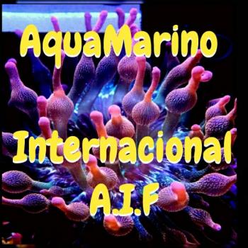 Aquamarino internac a i f 20190408 222659