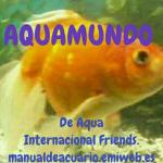 Aquamundo a i f 20190408 221419