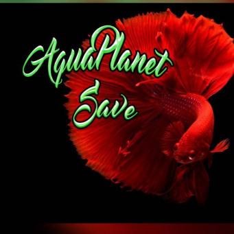 Grupo Whatsapp de acuariofilia Aquaplanetsave