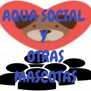 Aquasocialchistesmascota 20190408 224437