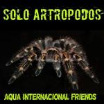 Artropodos sudamericanos 20190408 224654