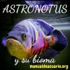 Grupo Whatssapp Astronotus y su bioma