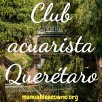 Club acuarista queretaro 20190408 223223