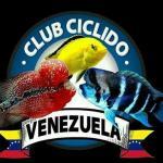 Club ciclido venezuela