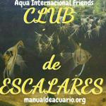 Club de escalares a i f 20190408 222256