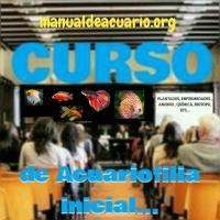 Curso de acuariofilia aqua internacional friends