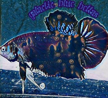 Galactic blue betta 20190705 213501 1 1