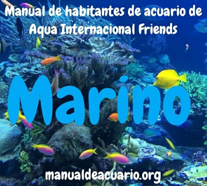 Mi primer acuario Marino