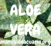 Aloe Vera en acuarios