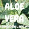 aloe vera en el acuario