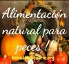 Alimentación natural para peces