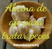 Alicina de ajp para tratar peces