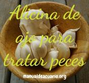 Alicins o ajo para tratamientos en peces