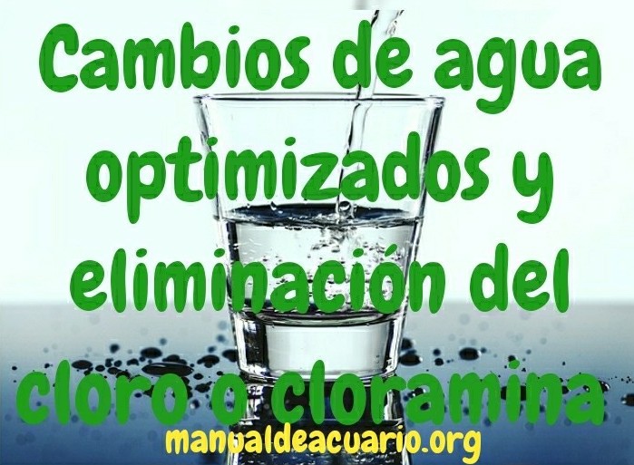 Cambios de agua optimizados y eliminacion del cloro o cloramina