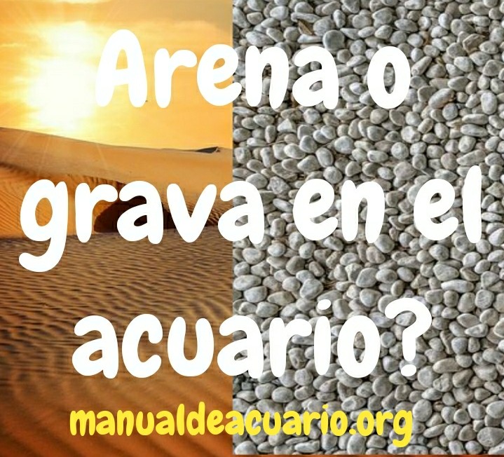 Arena o grava en el acuario