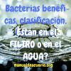 Bacterias benéficas del acuario, clasificación, estan en el agua también?
