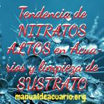 Nitratos altos en acuarios