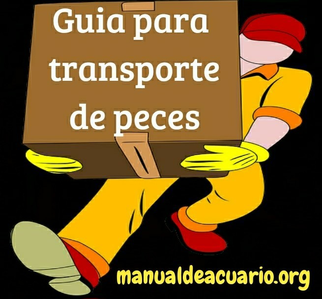 Guía para transporte de peces