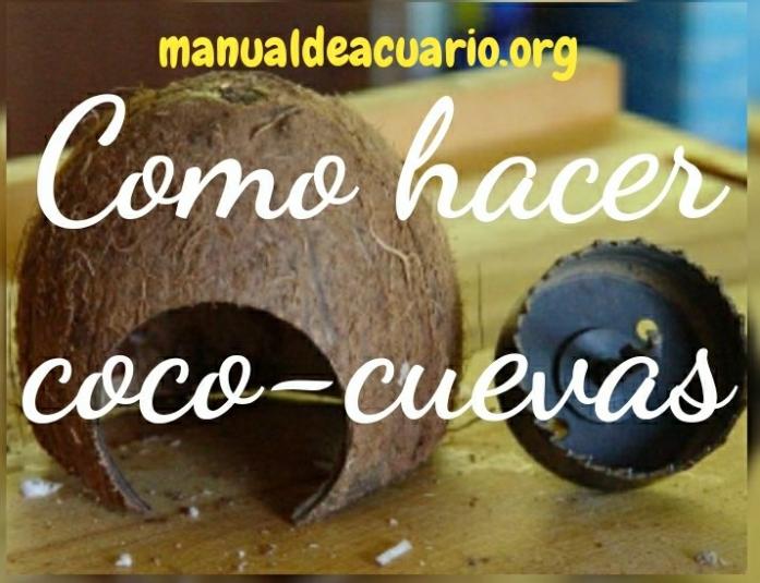 Como hacer coco cuevas