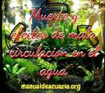 Muerte y efectos de mala circulación en el agua