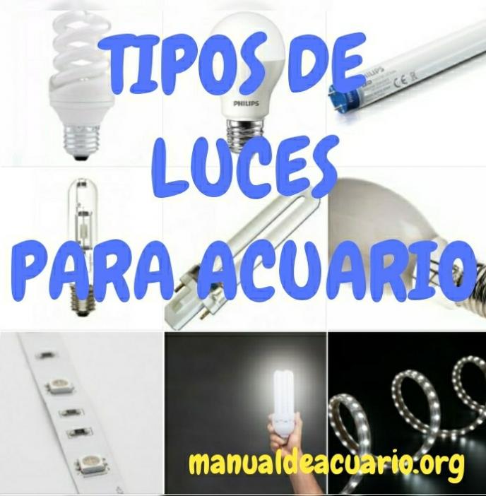 Tipos de luces para acuarios