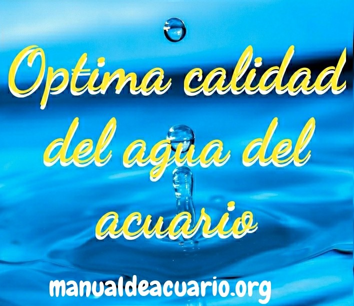 Óptima calidad del agua del acuario